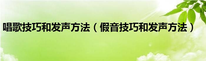 唱歌技巧和发声方法（假音技巧和发声方法）