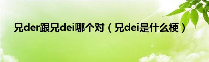 兄der跟兄dei哪个对（兄dei是什么梗）