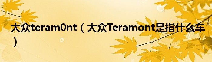 大众teram0nt（大众Teramont是指什么车）