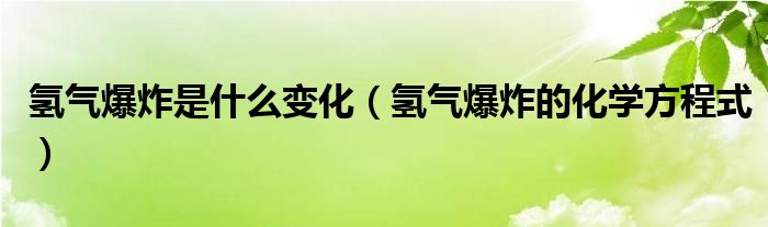 氢气爆炸是什么变化（氢气爆炸的化学方程式）