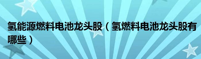 氢能源燃料电池龙头股（氢燃料电池龙头股有哪些）