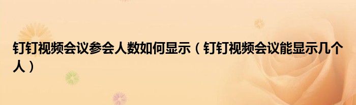 钉钉视频会议参会人数如何显示（钉钉视频会议能显示几个人）