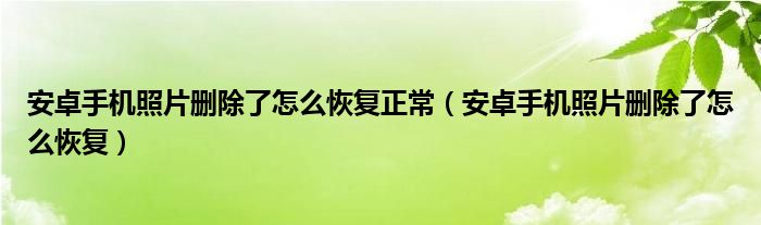 安卓手机照片删除了怎么恢复正常（安卓手机照片删除了怎么恢复）