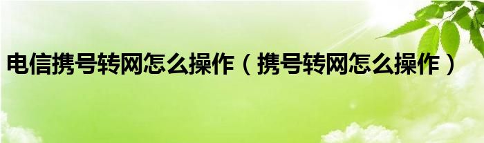 电信携号转网怎么操作（携号转网怎么操作）