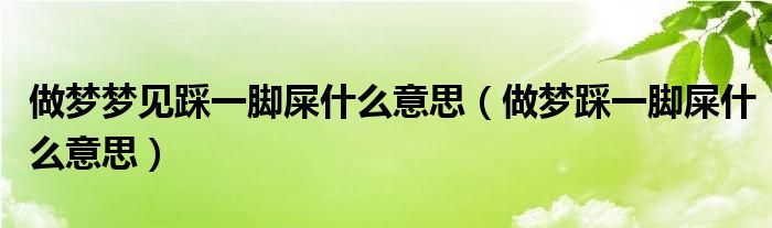 做梦梦见踩一脚屎什么意思（做梦踩一脚屎什么意思）