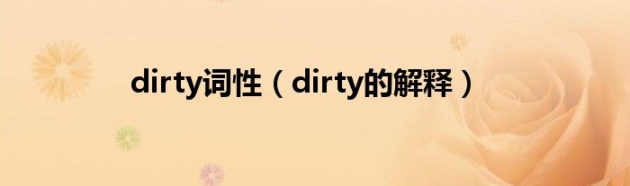 dirty词性（dirty的解释）