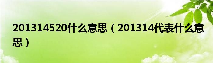 201314520什么意思（201314代表什么意思）