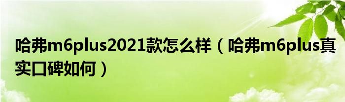 哈弗m6plus2021款怎么样（哈弗m6plus真实口碑如何）