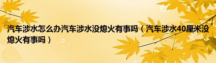 汽车涉水怎么办汽车涉水没熄火有事吗（汽车涉水40厘米没熄火有事吗）