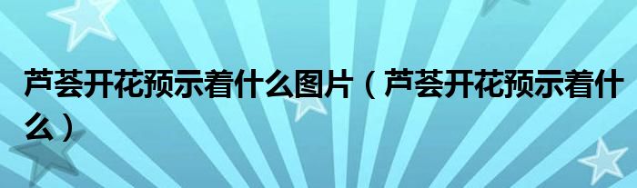 芦荟开花预示着什么图片（芦荟开花预示着什么）