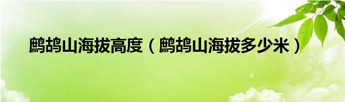 鹧鸪山海拔高度（鹧鸪山海拔多少米）