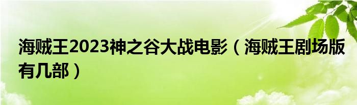 海贼王2023神之谷大战电影（海贼王剧场版有几部）