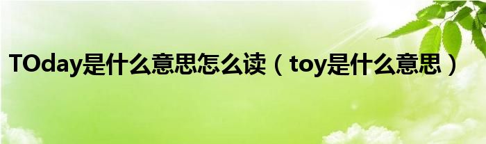 TOday是什么意思怎么读（toy是什么意思）