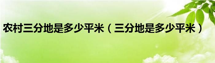 农村三分地是多少平米（三分地是多少平米）