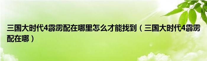 三国大时代4霹雳配在哪里怎么才能找到（三国大时代4霹雳配在哪）