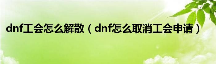 dnf工会怎么解散（dnf怎么取消工会申请）