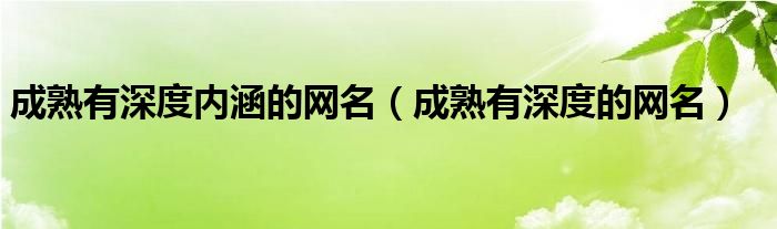 成熟有深度内涵的网名（成熟有深度的网名）