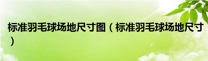 标准羽毛球场地尺寸图（标准羽毛球场地尺寸）