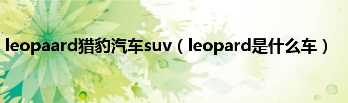 leopaard猎豹汽车suv（leopard是什么车）