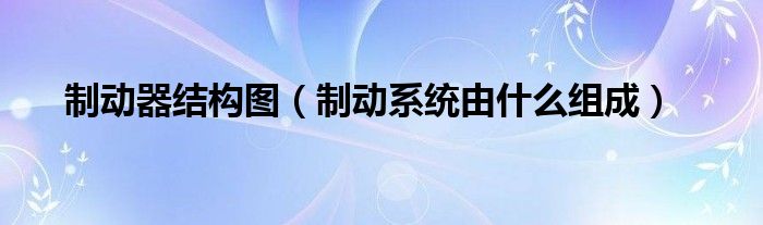 制动器结构图（制动系统由什么组成）