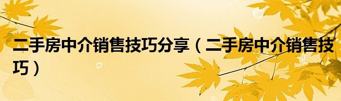 二手房中介销售技巧分享（二手房中介销售技巧）