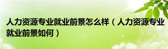 人力资源专业就业前景怎么样（人力资源专业就业前景如何）