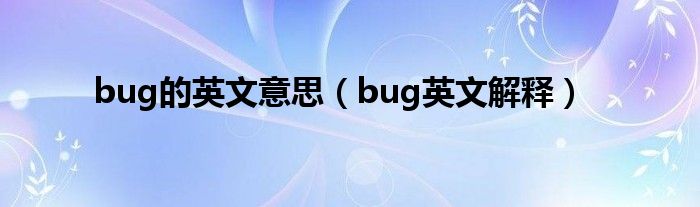 bug的英文意思（bug英文解释）