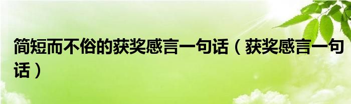 简短而不俗的获奖感言一句话（获奖感言一句话）