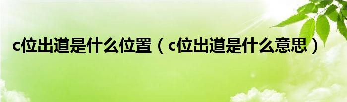 c位出道是什么位置（c位出道是什么意思）