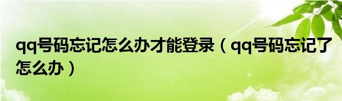 qq号码忘记怎么办才能登录（qq号码忘记了怎么办）