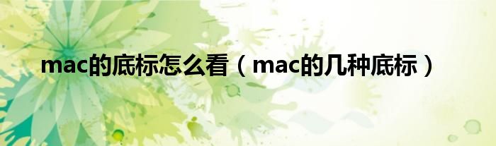 mac的底标怎么看（mac的几种底标）