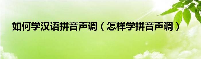 如何学汉语拼音声调（怎样学拼音声调）