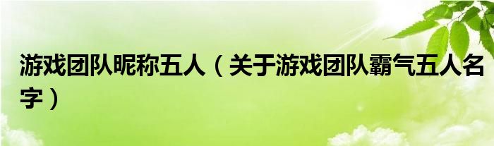 游戏团队昵称五人（关于游戏团队霸气五人名字）