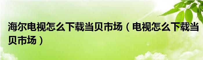 海尔电视怎么下载当贝市场（电视怎么下载当贝市场）