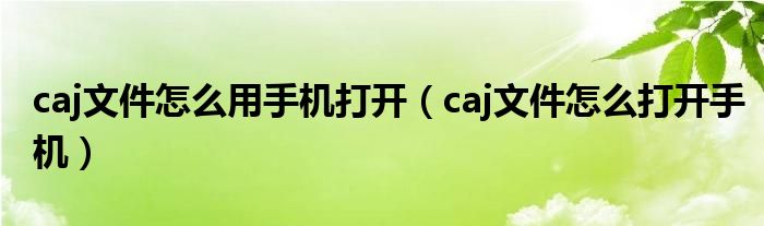 caj文件怎么用手机打开（caj文件怎么打开手机）