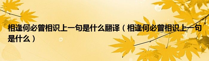 相逢何必曾相识上一句是什么翻译（相逢何必曾相识上一句是什么）