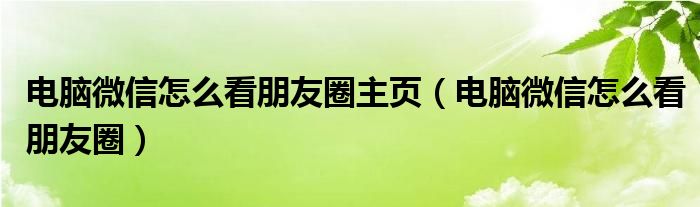 电脑微信怎么看朋友圈主页（电脑微信怎么看朋友圈）