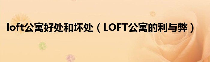 loft公寓好处和坏处（LOFT公寓的利与弊）