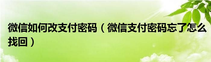 微信如何改支付密码（微信支付密码忘了怎么找回）