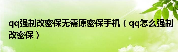 qq强制改密保无需原密保手机（qq怎么强制改密保）