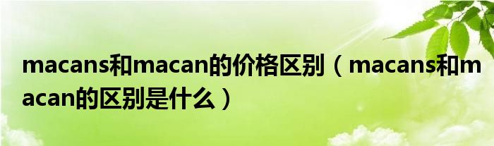 macans和macan的价格区别（macans和macan的区别是什么）