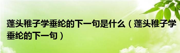 蓬头稚子学垂纶的下一句是什么（蓬头稚子学垂纶的下一句）