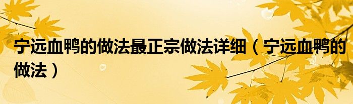 宁远血鸭的做法最正宗做法详细（宁远血鸭的做法）