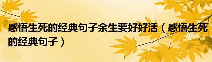 感悟生死的经典句子余生要好好活（感悟生死的经典句子）