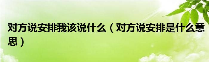 对方说安排我该说什么（对方说安排是什么意思）