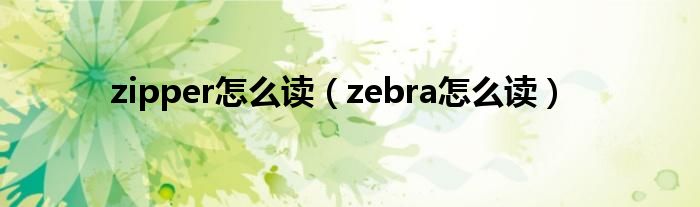 zipper怎么读（zebra怎么读）