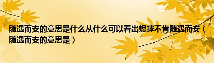 随遇而安的意思是什么从什么可以看出蟋蟀不肯随遇而安（随遇而安的意思是）