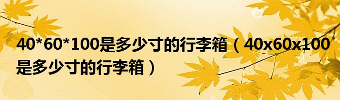 40*60*100是多少寸的行李箱（40x60x100是多少寸的行李箱）