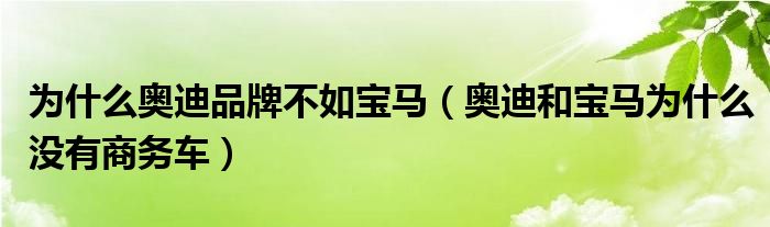 为什么奥迪品牌不如宝马（奥迪和宝马为什么没有商务车）