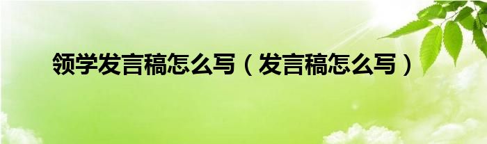 领学发言稿怎么写（发言稿怎么写）